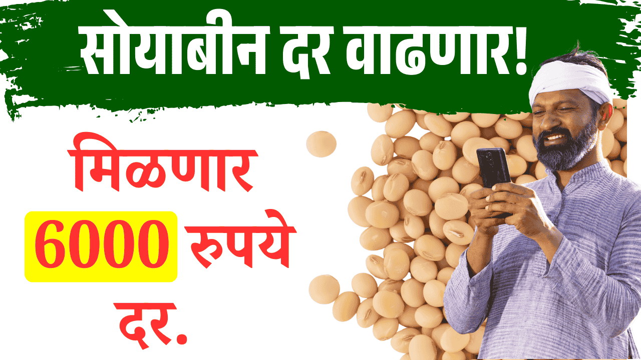soyabean rate
