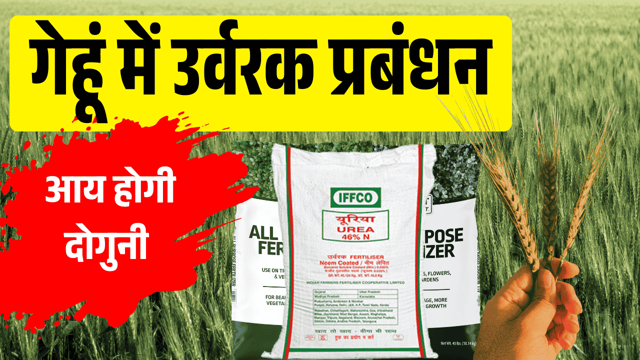 Fertilizer Management